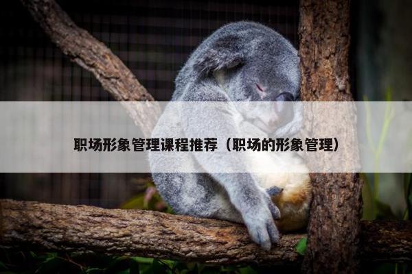 职场形象管理课程推荐（职场的形象管理）