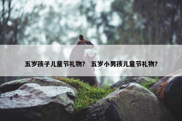 五岁孩子儿童节礼物？ 五岁小男孩儿童节礼物？