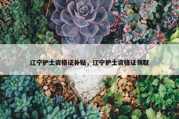 辽宁护士资格证补贴，辽宁护士资格证领取