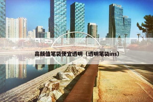 高颜值笔袋便宜透明（透明笔袋ins）
