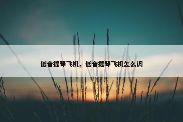低音提琴飞机，低音提琴飞机怎么调