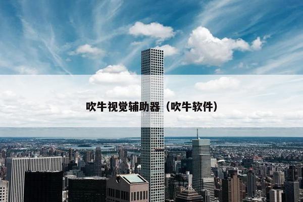 吹牛视觉辅助器（吹牛软件）