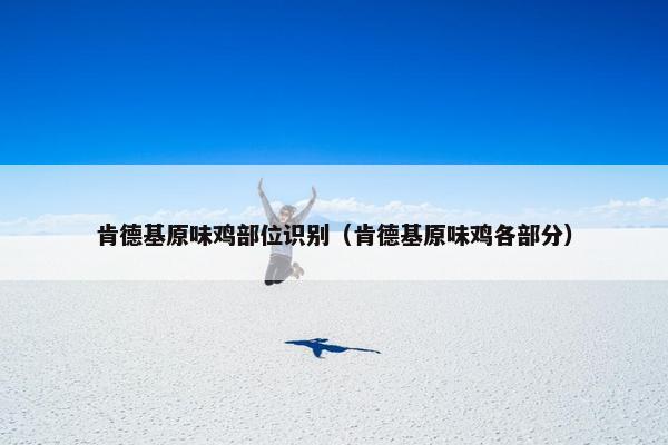肯德基原味鸡部位识别（肯德基原味鸡各部分）