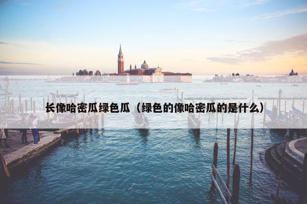 长像哈密瓜绿色瓜（绿色的像哈密瓜的是什么）