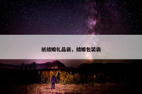 纸结婚礼品袋，结婚包装袋