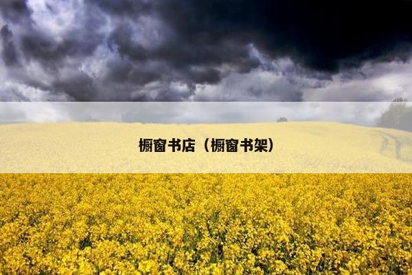 橱窗书店（橱窗书架）