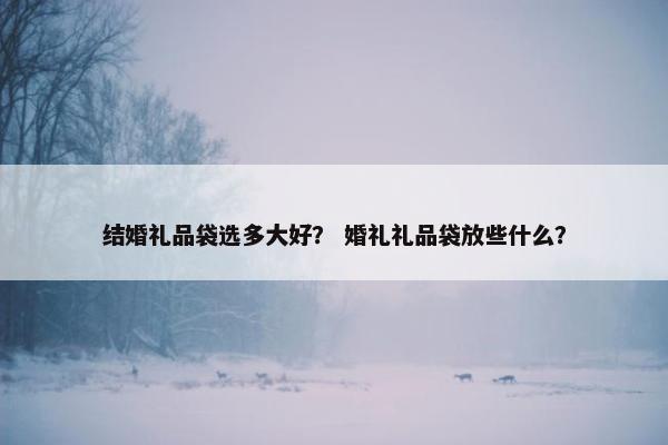 结婚礼品袋选多大好？ 婚礼礼品袋放些什么？