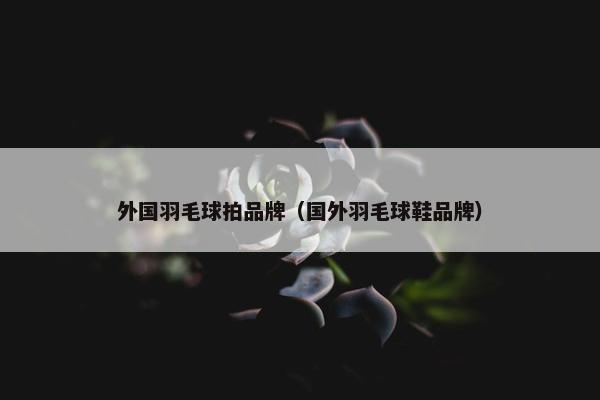 外国羽毛球拍品牌（国外羽毛球鞋品牌）
