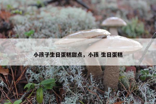 小孩子生日蛋糕甜点，小孩 生日蛋糕