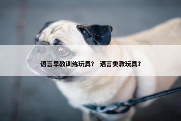 语言早教训练玩具？ 语言类教玩具？