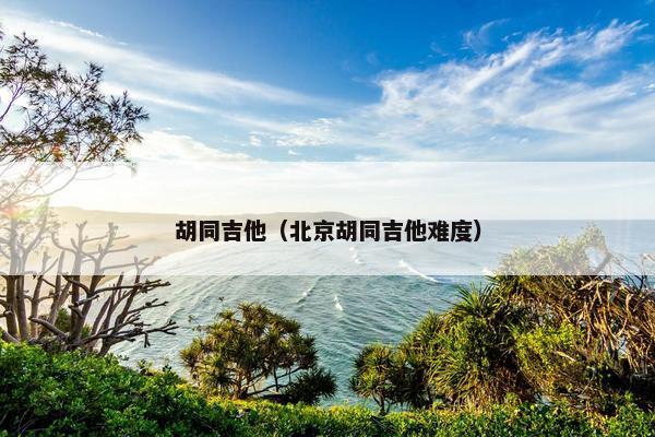胡同吉他（北京胡同吉他难度）