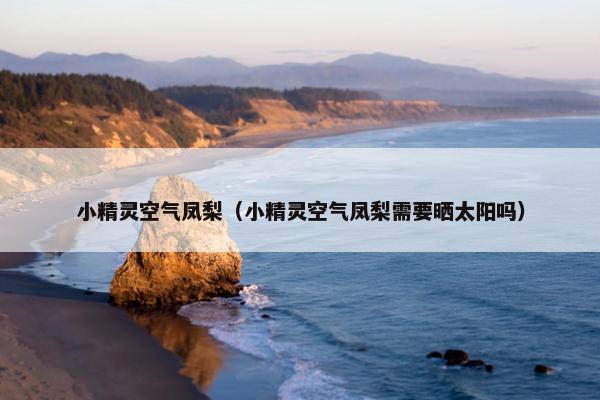 小精灵空气凤梨（小精灵空气凤梨需要晒太阳吗）