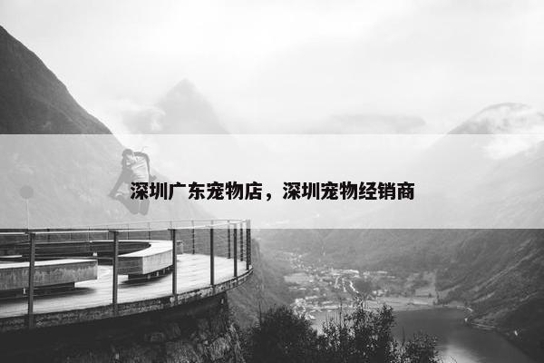 深圳广东宠物店，深圳宠物经销商