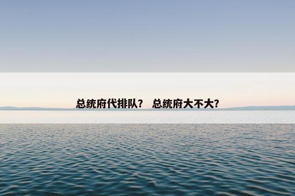 总统府代排队？ 总统府大不大？