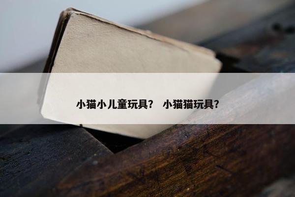 小猫小儿童玩具？ 小猫猫玩具？