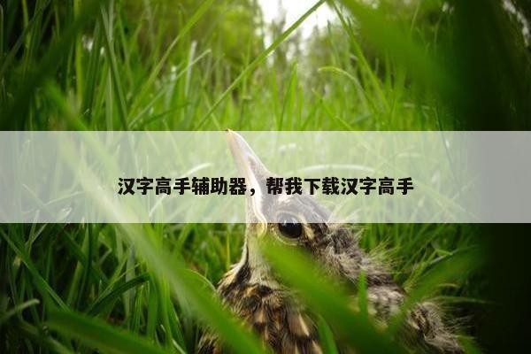 汉字高手辅助器，帮我下载汉字高手