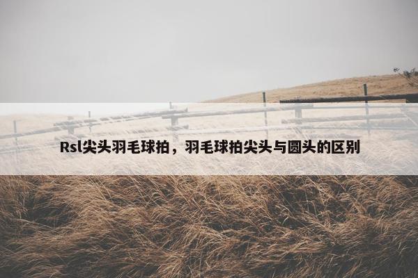 Rsl尖头羽毛球拍，羽毛球拍尖头与圆头的区别