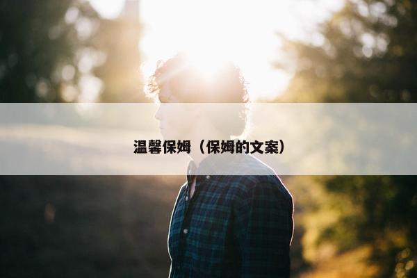 温馨保姆（保姆的文案）