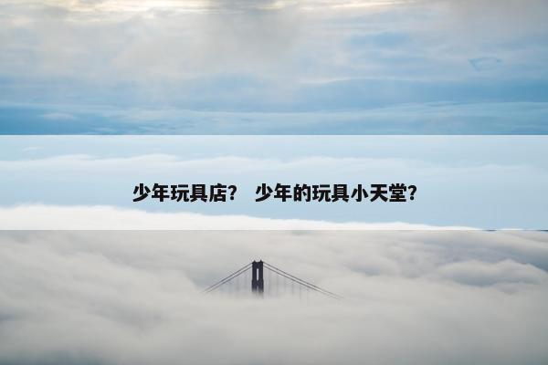 少年玩具店？ 少年的玩具小天堂？