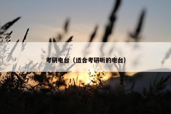 考研电台（适合考研听的电台）