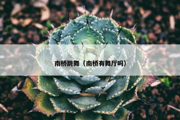 南桥跳舞（南桥有舞厅吗）