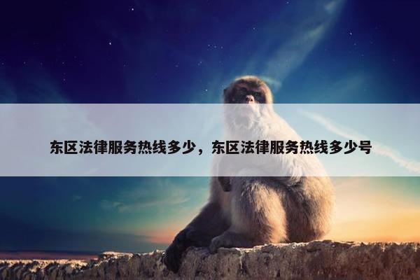 东区法律服务热线多少，东区法律服务热线多少号