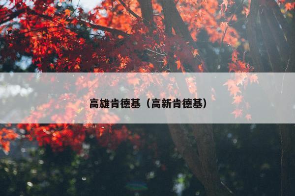 高雄肯德基（高新肯德基）