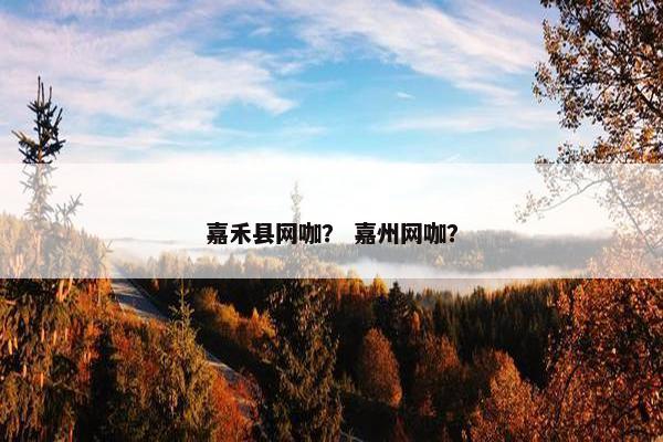 嘉禾县网咖？ 嘉州网咖？
