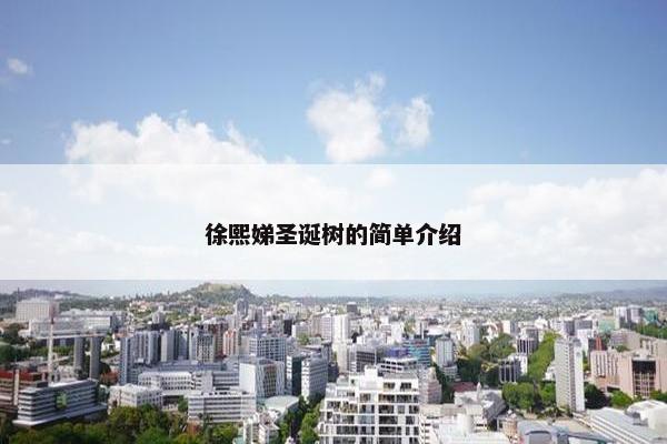 徐熙娣圣诞树的简单介绍