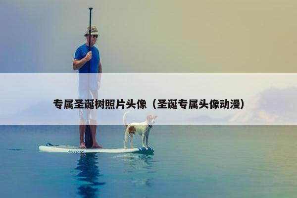 专属圣诞树照片头像（圣诞专属头像动漫）