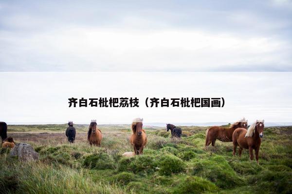齐白石枇杷荔枝（齐白石枇杷国画）