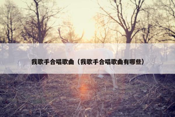 我歌手合唱歌曲（我歌手合唱歌曲有哪些）