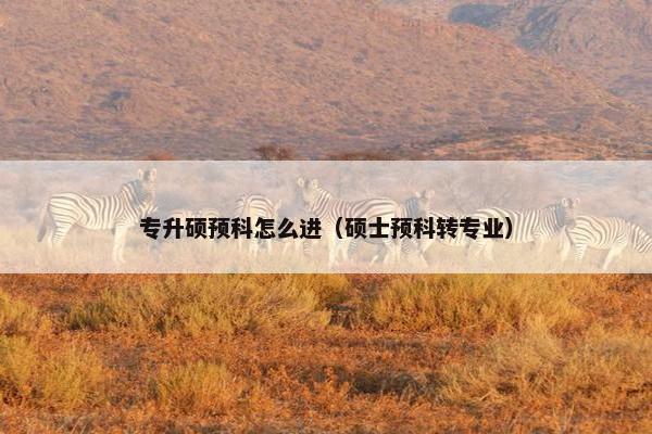 专升硕预科怎么进（硕士预科转专业）