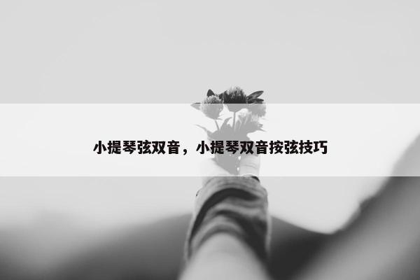 小提琴弦双音，小提琴双音按弦技巧