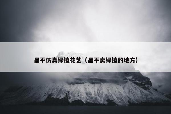 昌平仿真绿植花艺（昌平卖绿植的地方）