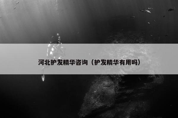 河北护发精华咨询（护发精华有用吗）