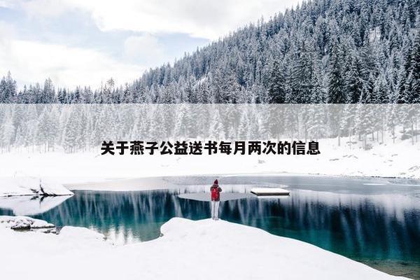 关于燕子公益送书每月两次的信息
