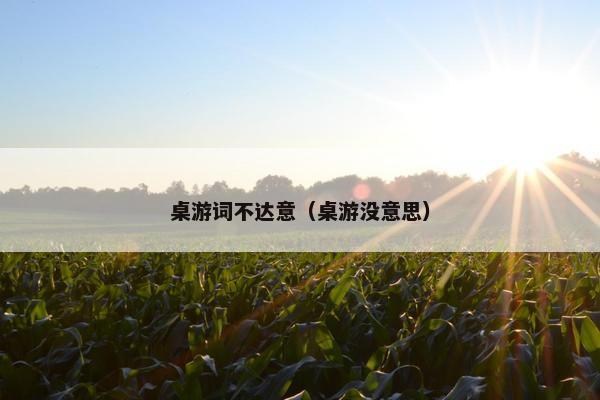 桌游词不达意（桌游没意思）