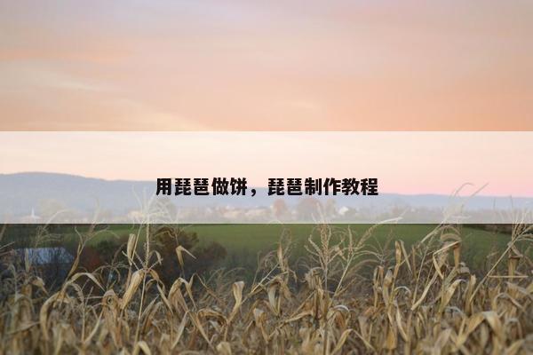 用琵琶做饼，琵琶制作教程