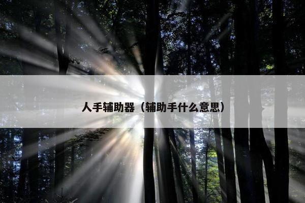 人手辅助器（辅助手什么意思）