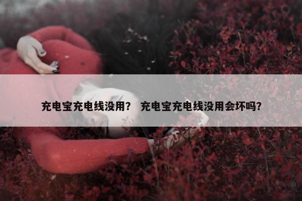 充电宝充电线没用？ 充电宝充电线没用会坏吗？