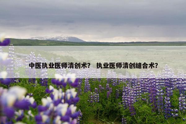 中医执业医师清创术？ 执业医师清创缝合术？