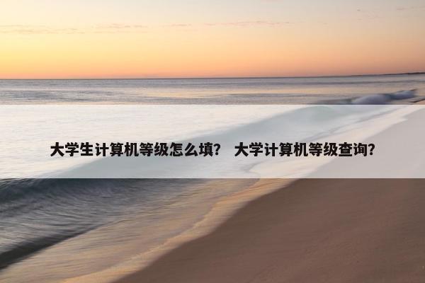 大学生计算机等级怎么填？ 大学计算机等级查询？