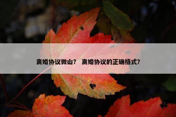 离婚协议微山？ 离婚协议的正确格式？