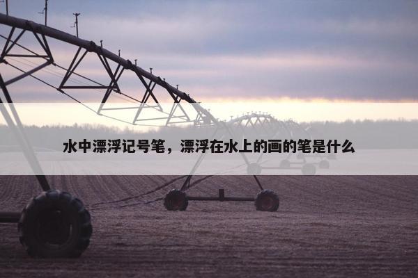 水中漂浮记号笔，漂浮在水上的画的笔是什么