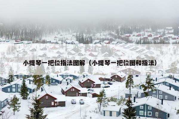 小提琴一把位指法图解（小提琴一把位图和指法）