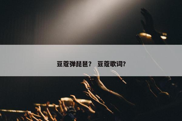 豆蔻弹琵琶？ 豆蔻歌词？