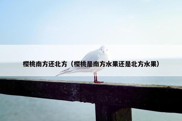 樱桃南方还北方（樱桃是南方水果还是北方水果）