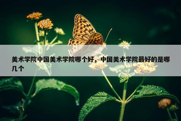 美术学院中国美术学院哪个好，中国美术学院最好的是哪几个