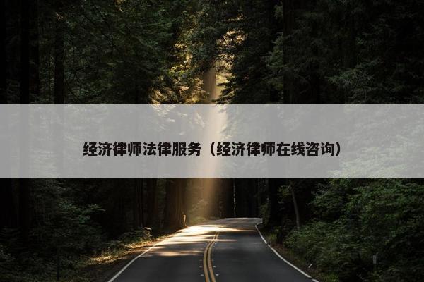 经济律师法律服务（经济律师在线咨询）